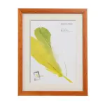 Walnut-Slim-Classic-Wooden-Frame-20x25