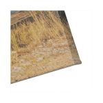 ektiposi-fotografias-se-kanva-printpics_1