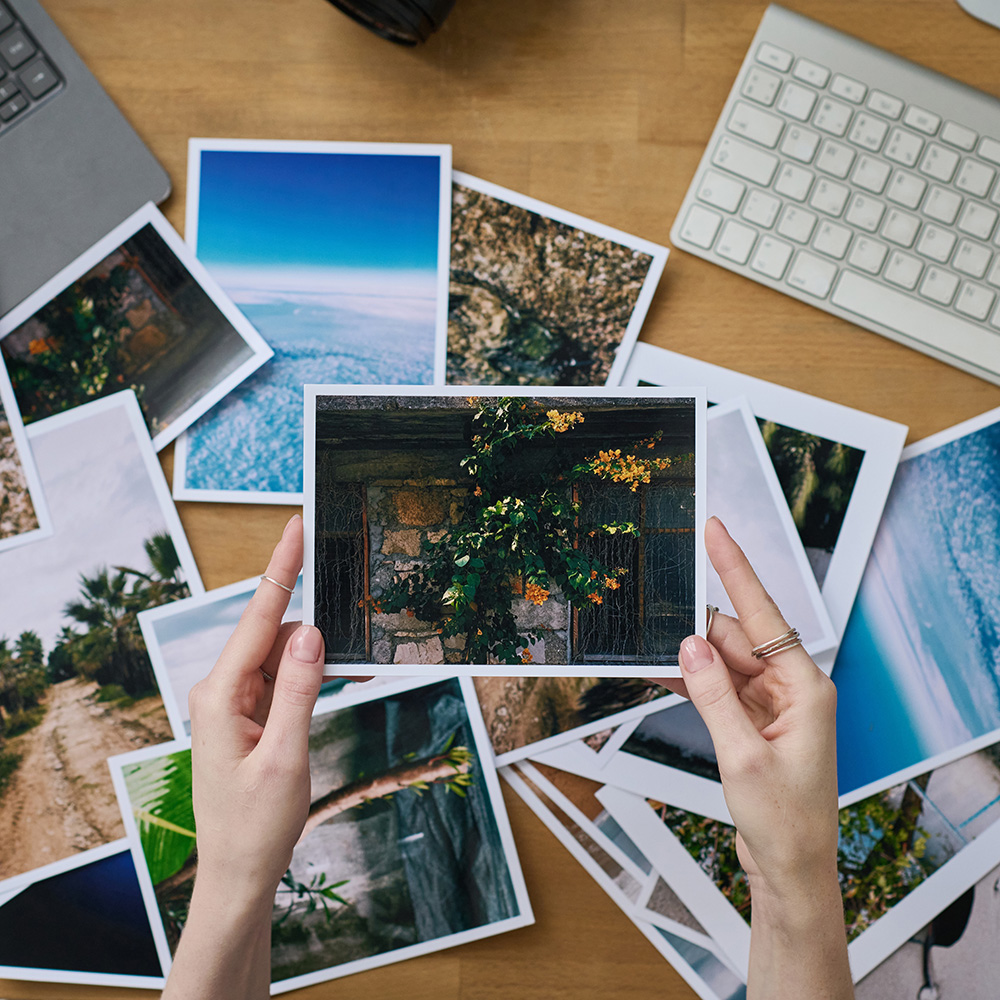 Photographer examining her professional photos